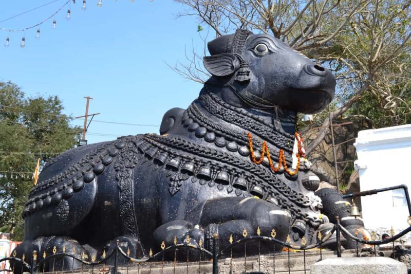 Bangalore: City Highlights Tour - Who Will Love This Tour?