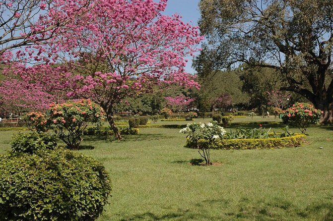 Bangalore Heritage and Cultural Walking Tour - An In-Depth Look at the Bangalore Heritage and Cultural Walking Tour