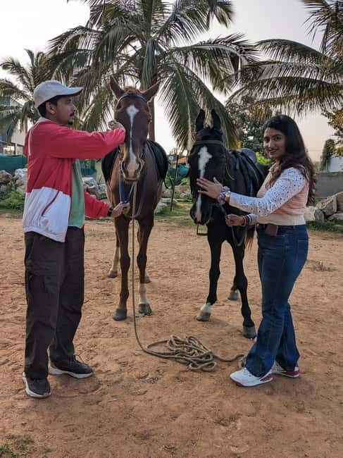 Bangalore: Horse Riding Safari Tour - The Riding Experience and Trail Environment