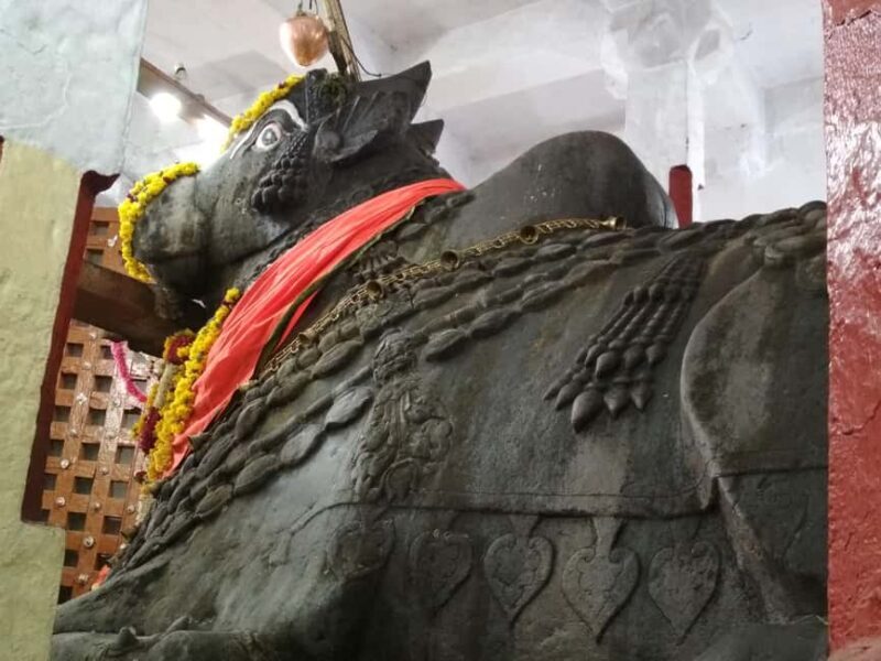 Bangalore: Private Half-Day Sightseeing Tour - A Well-Balanced Introduction to Bangalore’s Highlights