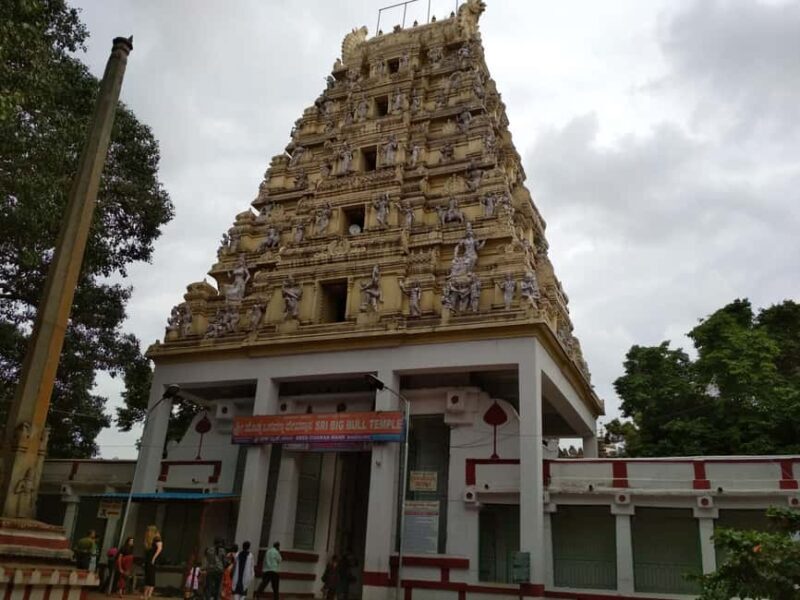 Bangalore: Private Half-Day Sightseeing Tour - Reviews and Real Traveler Insights