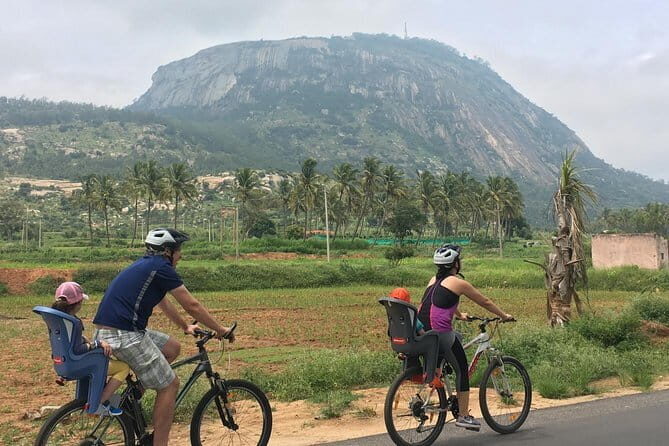 Bangalore Street Food + Lalbagh Garden Walking Tour - What’s Not Included