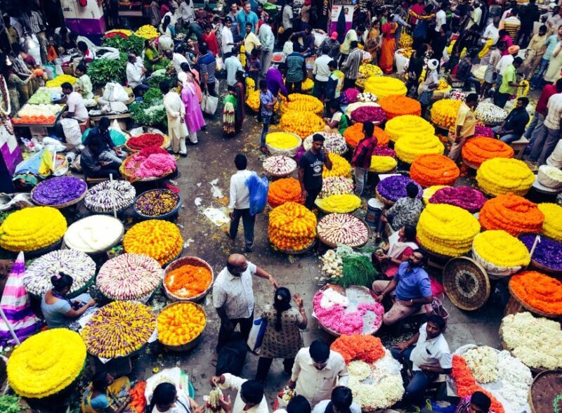 Bangalore: Walking Tour of Fort, Palaces, and Market - Exploring Bangalore: A Walking Tour of Forts, Palaces, and Markets