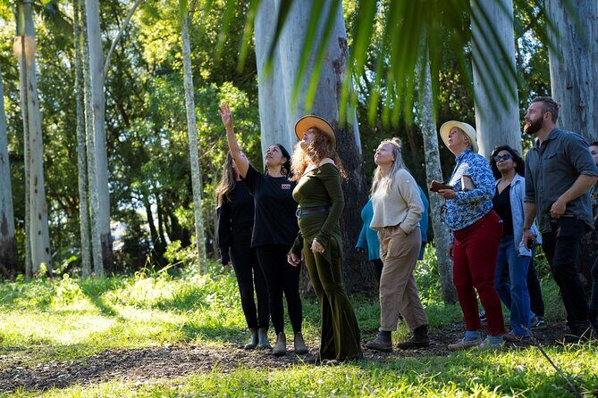 Bangalow Native Bush Food Tour - The Value of a Short Cultural Escape
