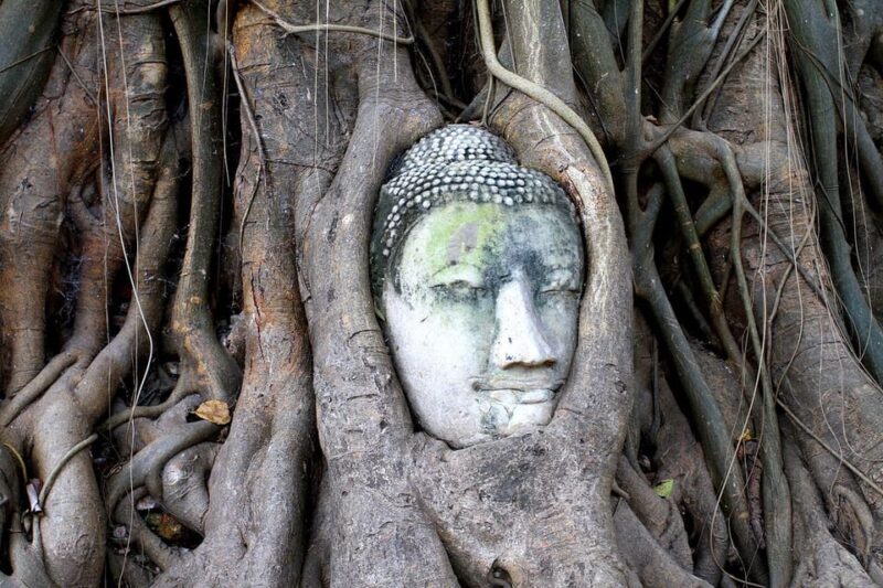 Bangkok: Audio guides for Bangkok, Chiang Mai & Ayutthaya - FAQ