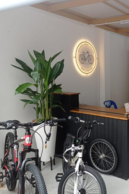 Bangkok Bicycle rental Benjakitti Park - What We Love and What to Consider