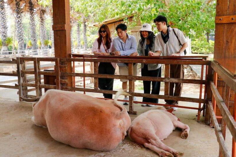 Bangkok: Damnoen Saduak and Train Market with Boat Ride - Final Thoughts: Is This Tour Right for You?