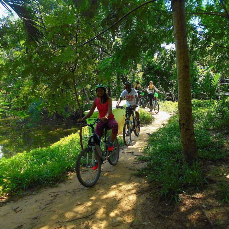 Bangkok: Green Oasis Guided Bike Tour with Boat Ride - Elevated Pathways and River Views