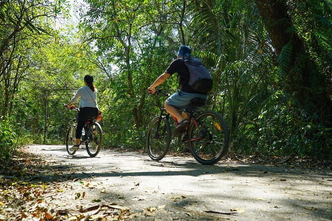 Bangkok Green Oasis Nature Bike Tour - Why This Tour Offers Great Value