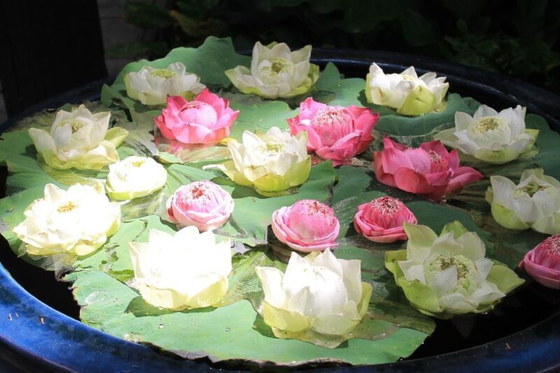 Bangkok: Jim Thompson House and Baan Krua Community Tour - Authenticity and Experience