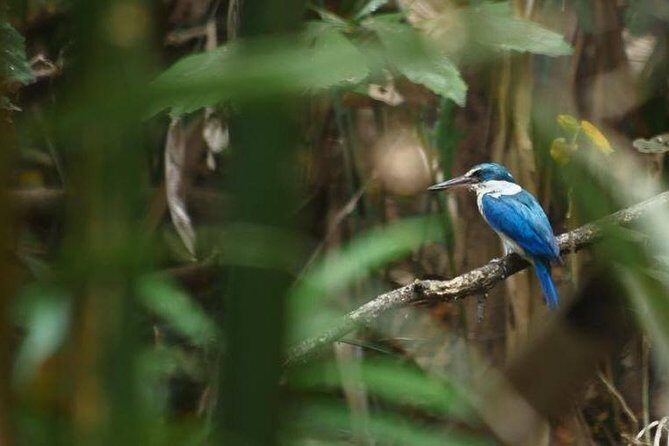 Bangkok Jungle Bike Tour Including Lunch - The Value of This Experience