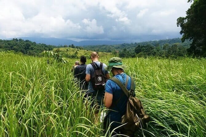 Bangkok: Khao Yai Nature Trails & Heaw Suwat Waterfall - Introduction: Exploring Khao Yai from Bangkok