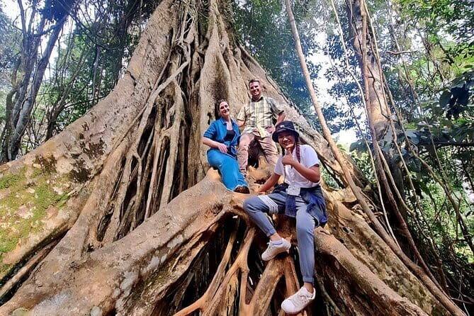 Bangkok: Khao Yai Nature Trails & Heaw Suwat Waterfall - The Itinerary: A Day of Natural Wonders