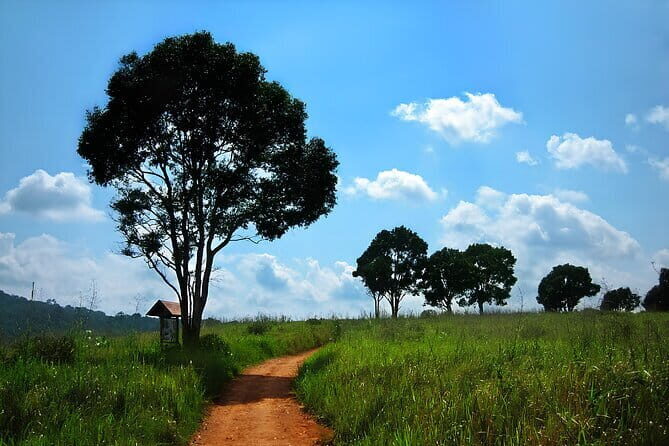 Bangkok: Khao Yai Nature Trails & Heaw Suwat Waterfall - FAQs