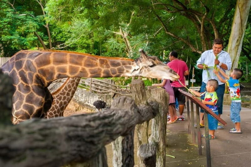 Bangkok/Pattaya: Khao Kheow Zoo Private Tour with Pickup - The Sum Up