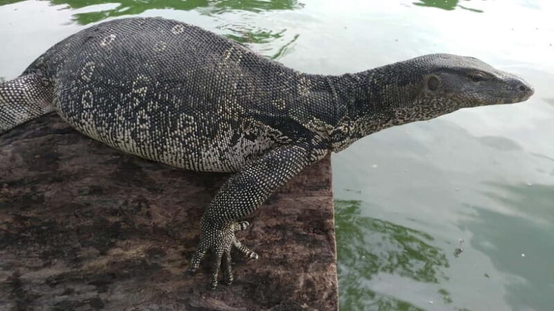 Bangkok: Private Tour with a Local Guide - The Sum Up