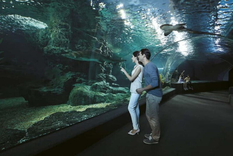 Bangkok: SEA LIFE Bangkok & Madame Tussauds Entry Ticket - How to Make the Most of Your Day