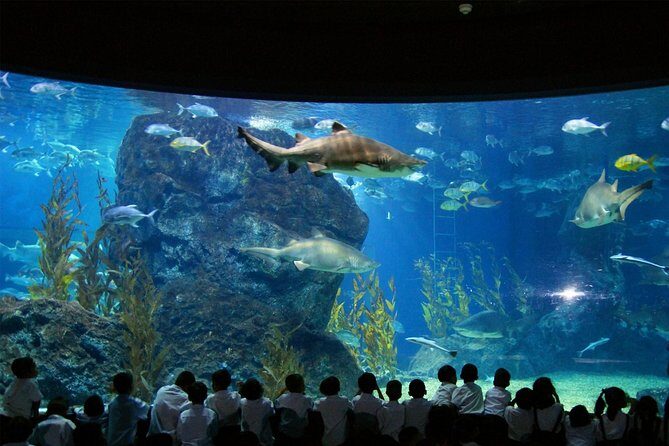 Bangkok SEA LIFE & Madame Tussauds Combo with Hotel Transfers - The Experience in Detail