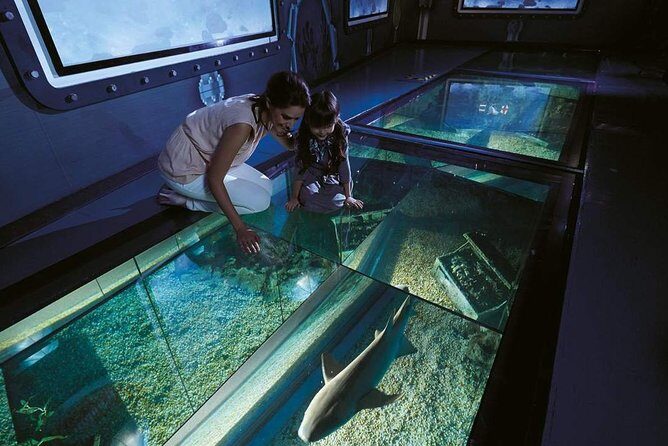 Bangkok SEA LIFE & Madame Tussauds Combo with Hotel Transfers - The Sum Up