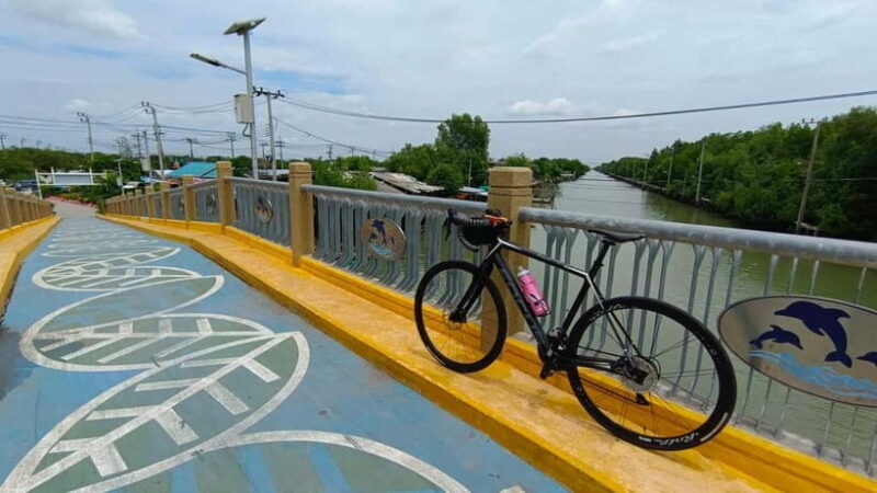 Bangkok: Seaside Views Cycling Tour via Mangrove Tunnel - An Introduction to the Cycling Experience