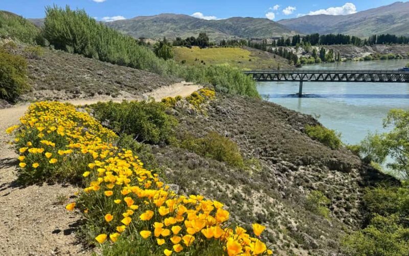 Bannockburn Winery eBike Tour & Private Carrick Winery Lunch - Setting the Scene: An Overview of the Experience