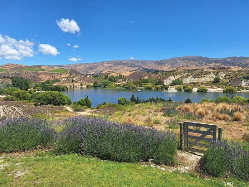 Bannockburn Winery eBike Tour & Private Carrick Winery Lunch - Cycling and Logistics: What to Expect on the Trail
