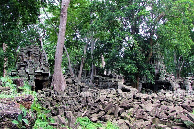Banteay Chhmar Temple & Silk Farm Private Day Trip from Siem Reap - Review Highlights