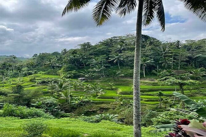 Banyumala Waterfall, Jatiluwih, Ulun Danu and Tanah Lot tours - A Day of Natural Beauty and Cultural Highlights in Bali