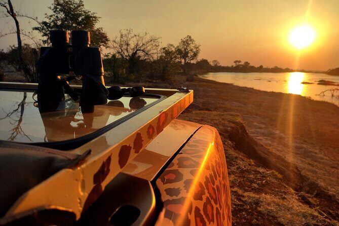 Baobab-Sunrise-Sunset-Vulture-Moonlight Safaris, 4 Options - What to Expect from the Safari