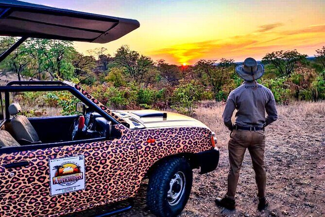 Baobab-Sunrise-Sunset-Vulture-Moonlight Safaris, 4 Options - What Previous Travelers Say
