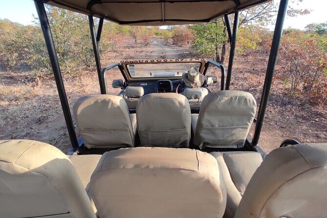 Baobab-Sunrise-Sunset-Vulture-Moonlight Safaris, 4 Options - Who Will Love This Tour?