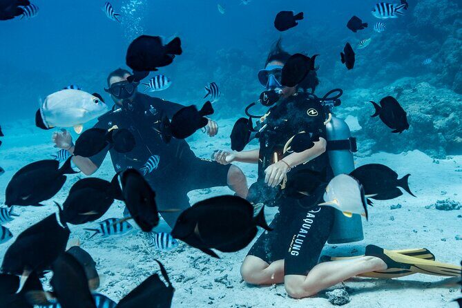 Baptism diving in the turquoise waters of Tahiti - Why It Stands Out