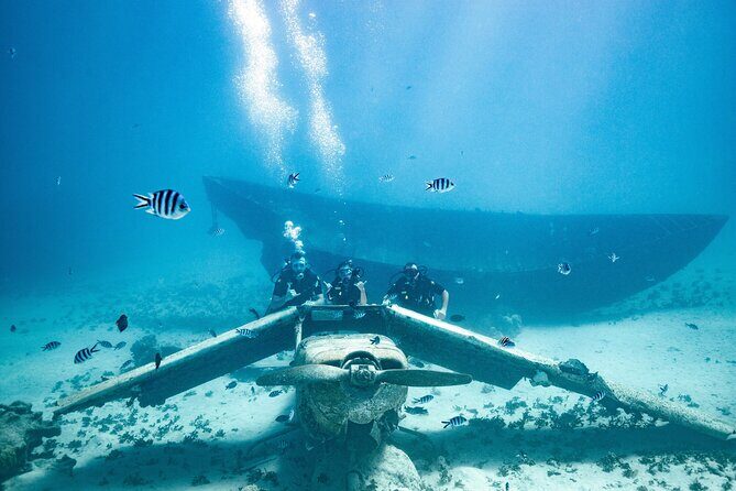Baptism diving in the turquoise waters of Tahiti - Who Should Consider This Tour?