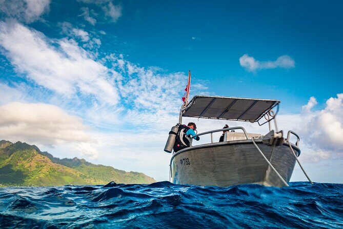 Baptism: introductory dive at Moorea Fun Dive - The Experience in Detail: What to Expect