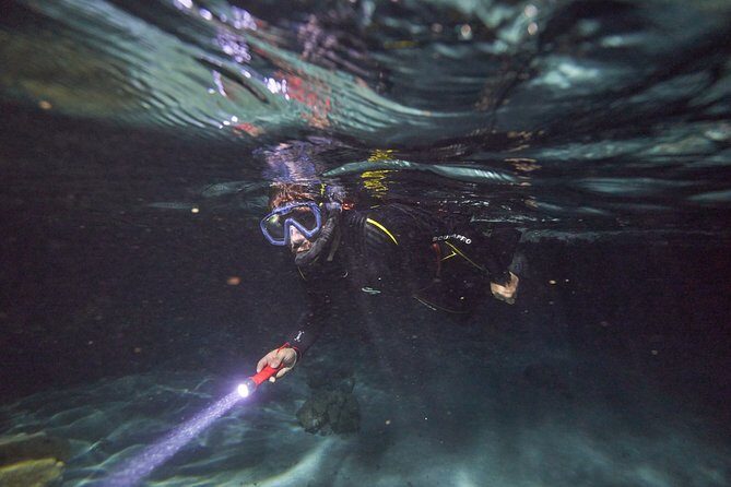 Baptism: introductory dive at Moorea Fun Dive - Who Will Love This Experience?