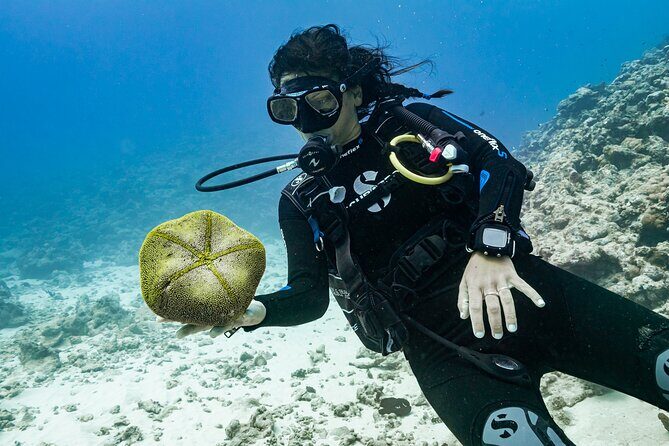 Baptism: introductory dive at Moorea Fun Dive - The Sum Up
