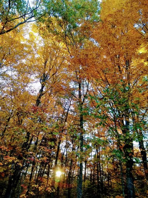 Bar Harbor: Acadia National Park Autumn Leaf Private Tour - Who Will Get the Most Out of This Tour?