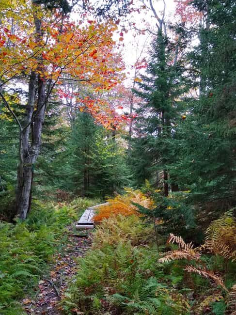 Bar Harbor: Acadia National Park Autumn Leaf Private Tour - FAQs