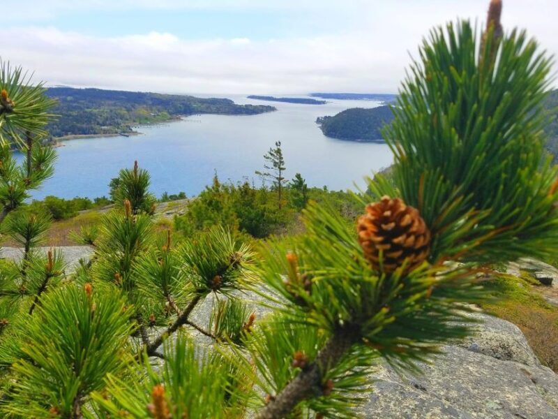 Bar Harbor: Acadia National Park Customizable Private Tour - Otter Cliffs and Wildlife Watching