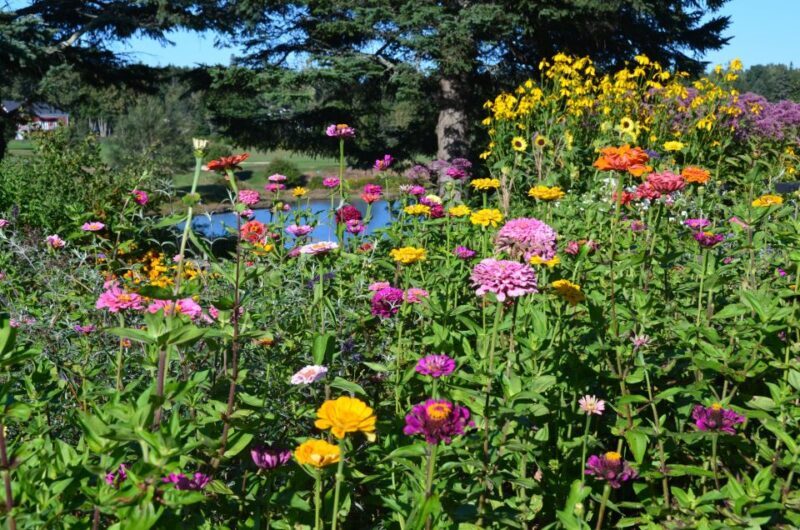 Bar Harbor: Acadia National Park Customizable Private Tour - Customization and Comfort: Your Tour, Your Way