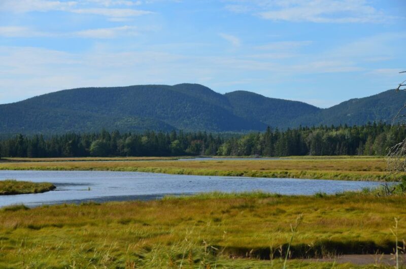 Bar Harbor: Acadia National Park Customizable Private Tour - Who Will Love This Tour?
