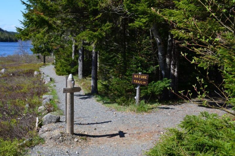 Bar Harbor: Acadia National Park Private Tour with Lunch - Why This Tour Works for Different Travelers