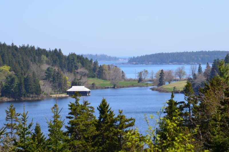 Bar Harbor: Acadia National Park Private Tour with Lunch - The Sum Up: Who Is This Tour Best For?