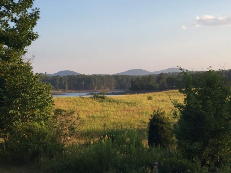 Bar Harbor: Acadia National Park Private Tour with Lunch - Frequently Asked Questions