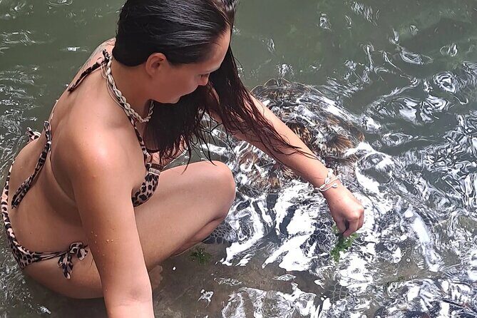 Baraka Aquarium and Dolphin Sightseeing with Sunset Cruise - Exploring the Baraka Aquarium and Dolphin Sightseeing with Sunset Cruise in Zanzibar