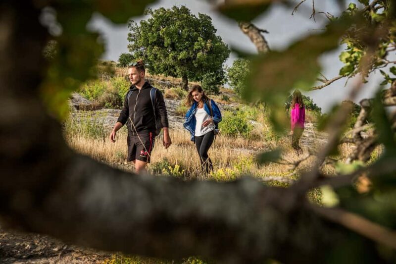 Baraka Destinations: Guided Light Hike in Umm Qais - Exploring the Guided Light Hike in Umm Qais: A Practical and Authentic Journey