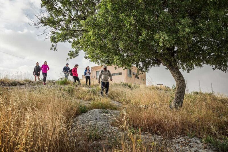 Baraka Destinations: Guided Light Hike in Umm Qais - Key Points