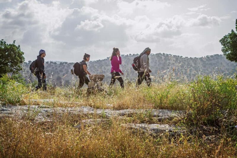 Baraka Destinations: Guided Light Hike in Umm Qais - Final Thoughts: Who Is This Tour Best For?