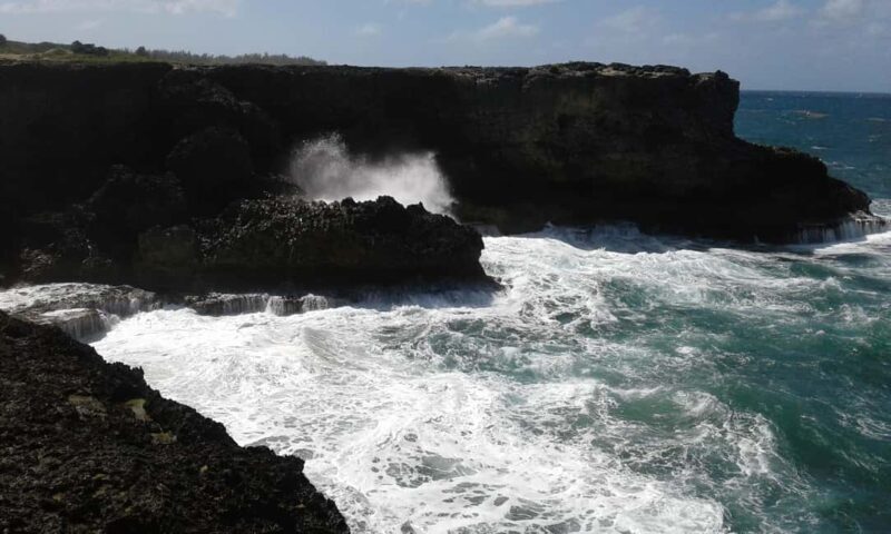 Barbados: 4 Hour Private Customized Island Tour - The Value of a Private, Customized Tour