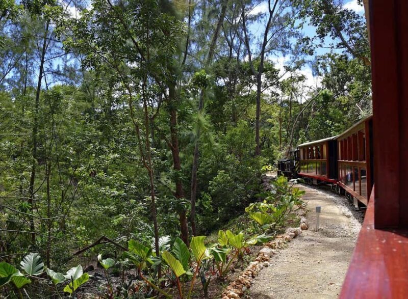 Barbados: 4 Hour Private Customized Island Tour - What’s Missing or to Watch Out For?